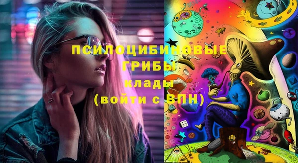 кристаллы Гусь-Хрустальный