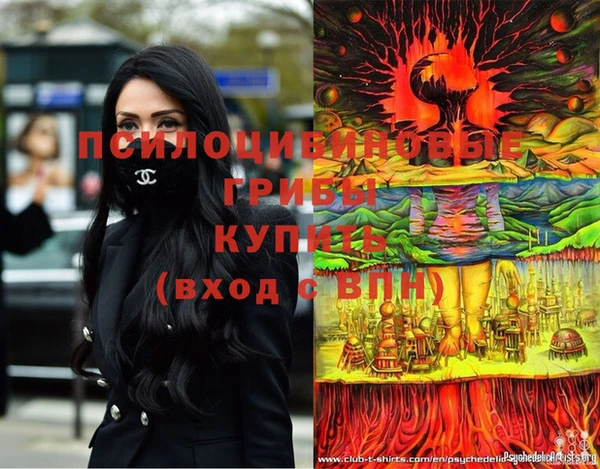 марки lsd Гусев