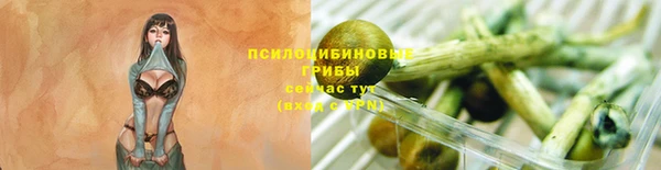 кристаллы Гусь-Хрустальный