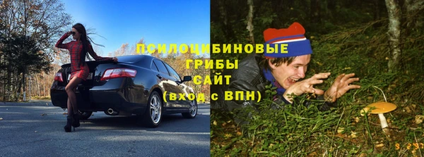 кристаллы Гусь-Хрустальный