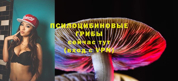 кристаллы Гусь-Хрустальный