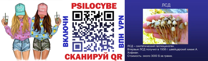 Купить закладки  Крымск  Галлюциногенные грибы Magic Shrooms 
